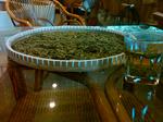 IMG00049-20100702-1159.jpg
